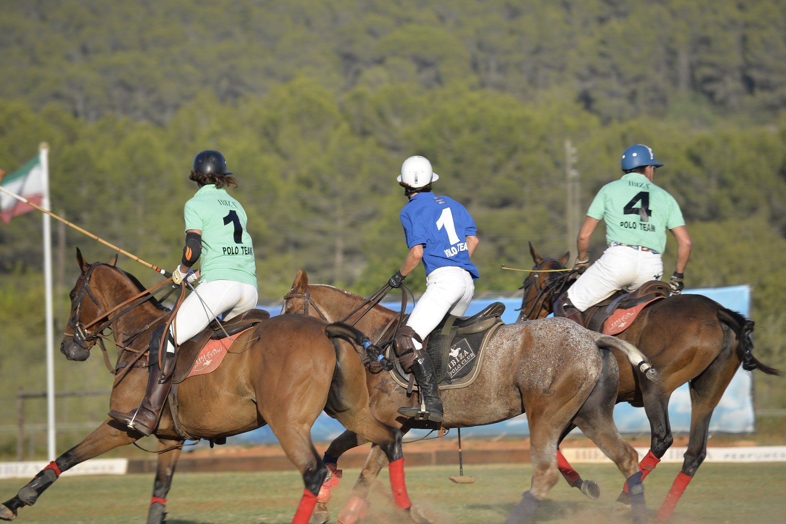 Horse Polo Travel India